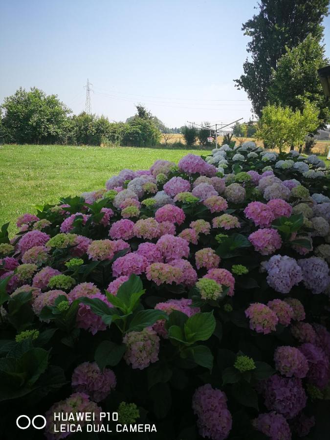 Corte Ventaglio Campitello  Экстерьер фото