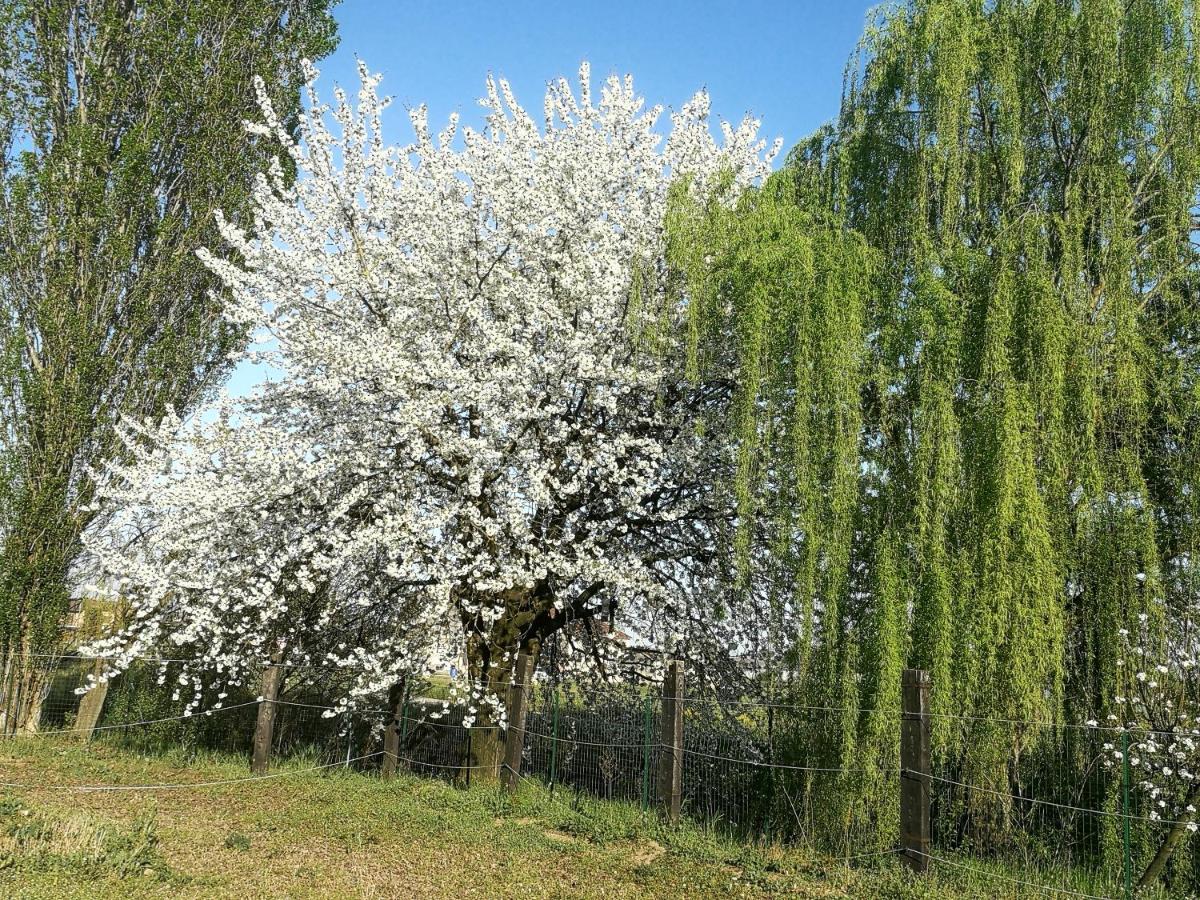 Corte Ventaglio Campitello  Экстерьер фото